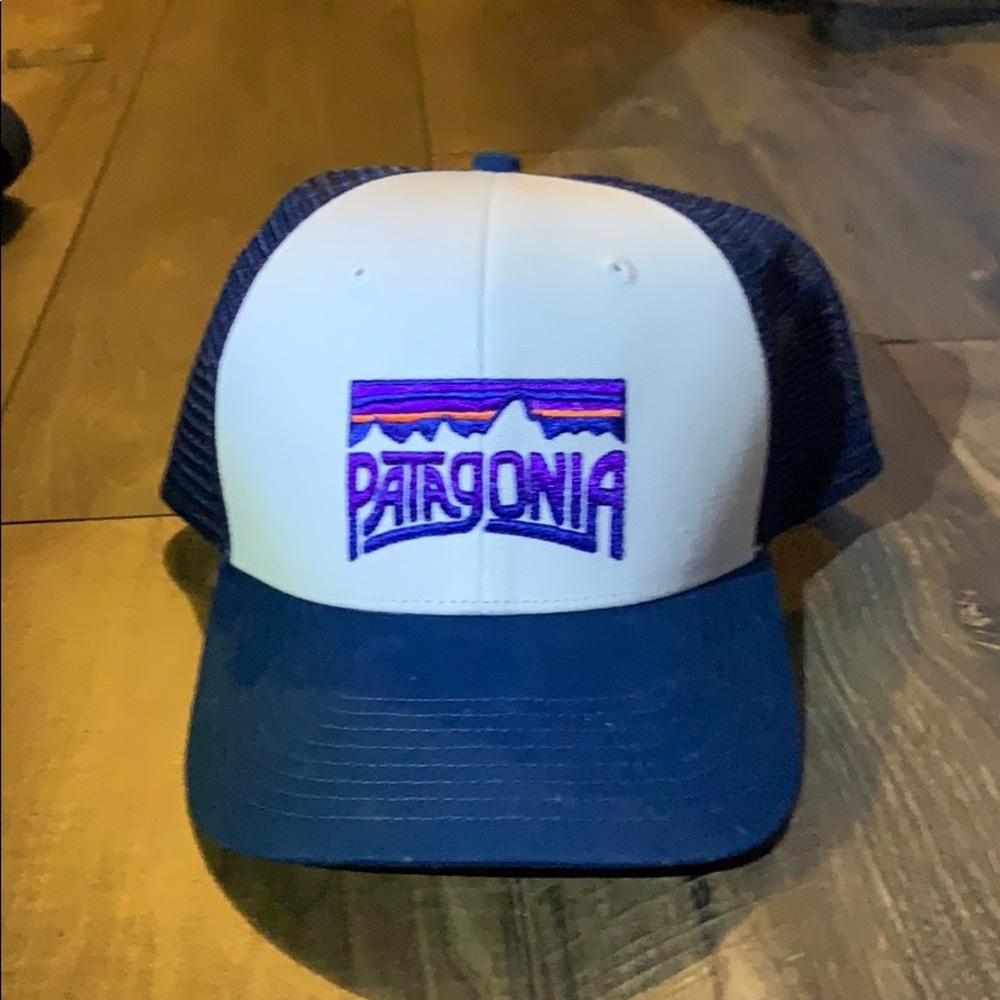 Patagonia trucker hat